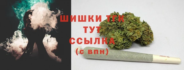 таблы Карпинск
