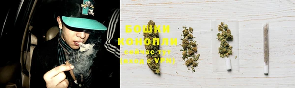 сатива Касимов