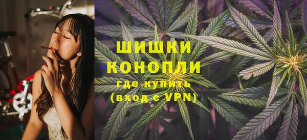 сатива Касимов