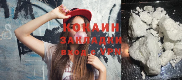 сатива Касимов