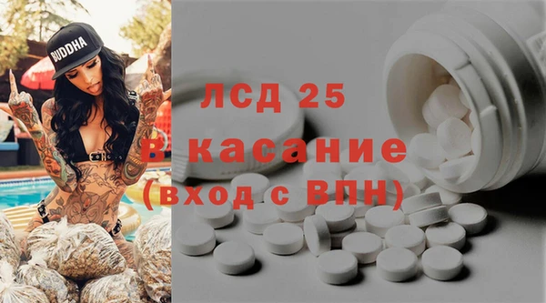 сатива Касимов